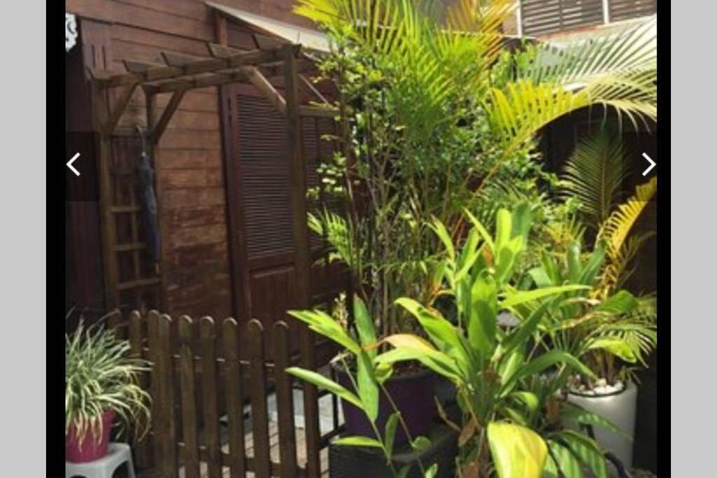 Villa A 1Mn A Pied De La Plage , Piscine Priveeサン・ピエール エクステリア 写真